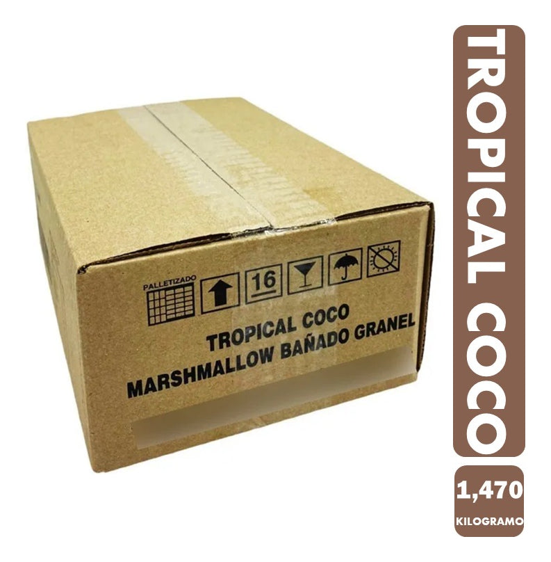 Caja Tropical Coco Arcor 1470g